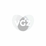 VGZ Het Fundament Sneek